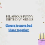 Hilarious Funny Birthday Memes