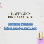 Happy 2nd Birthday Boy