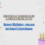 Birthday Wishes for a Niece from Aunt